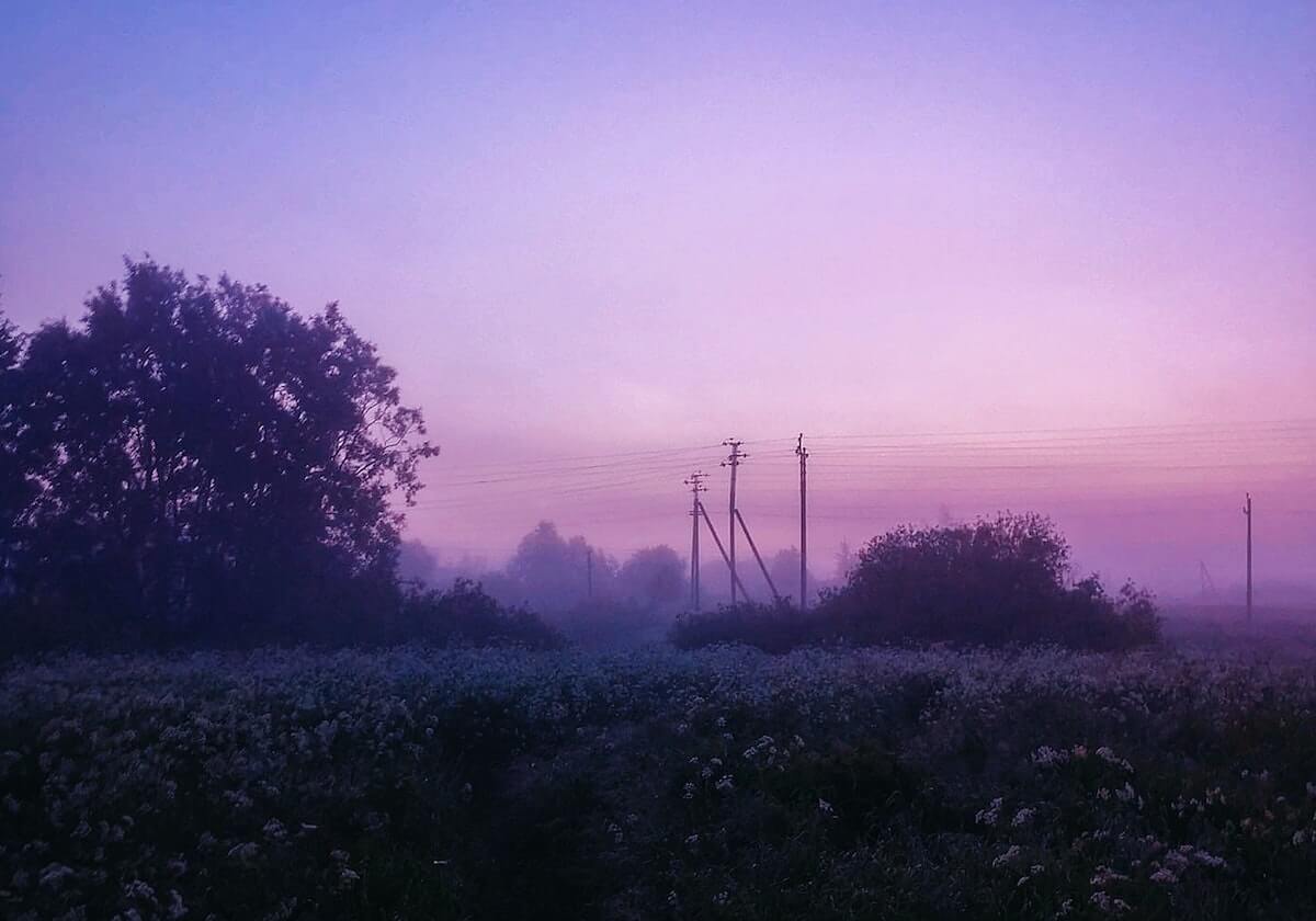 fengyue巴德乌龙大招救下Zika兰博，WBG打出二换四